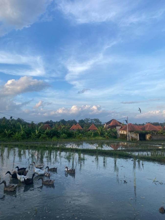 Villa Jepun Ubud Dış mekan fotoğraf